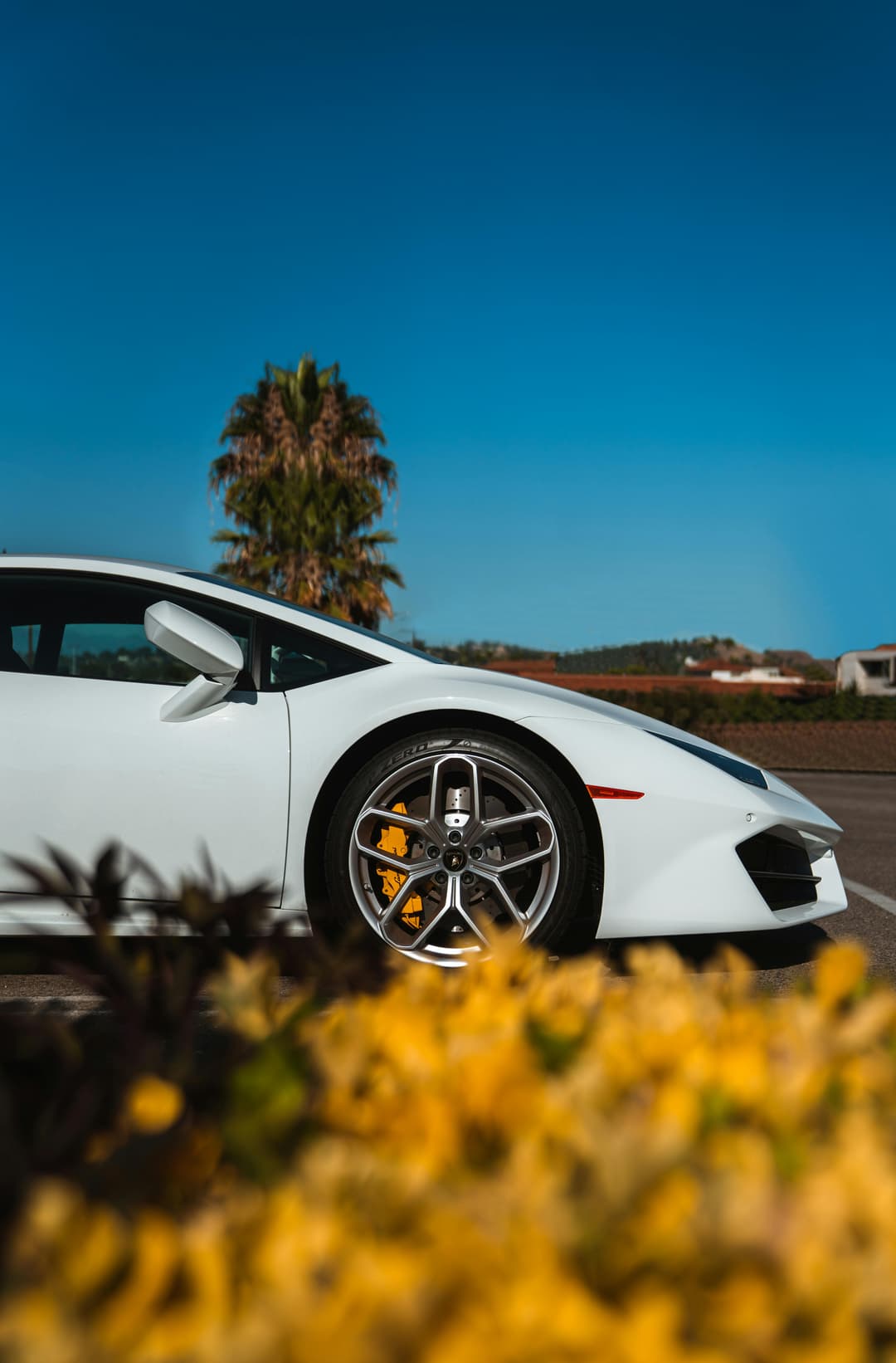 Luxury and Exotic Car Rentals in Luxembourg